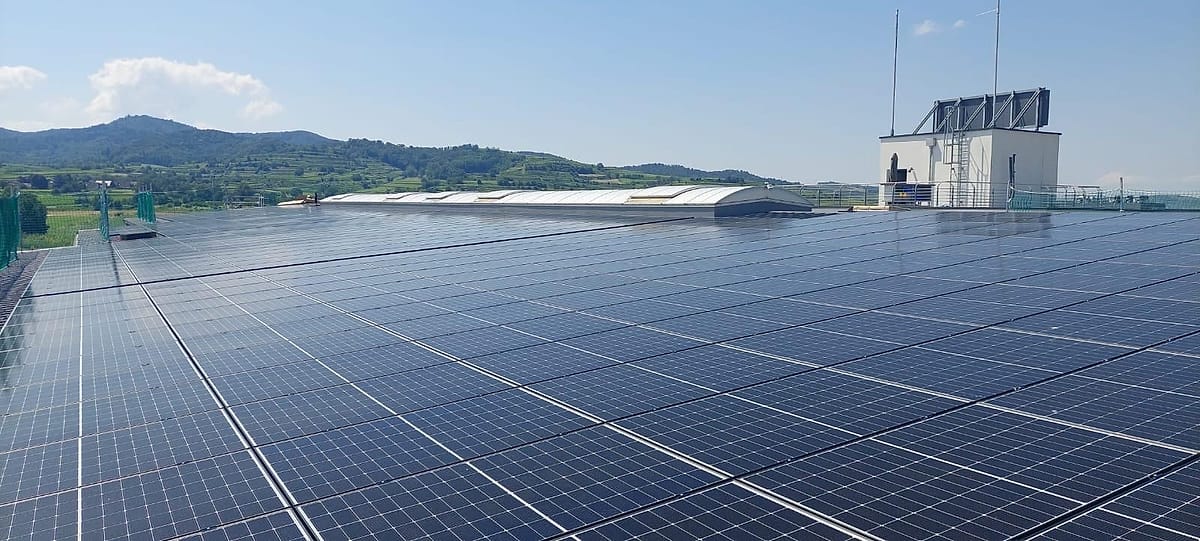 Flachdach einer Gewerbehalle, vollständig mit Photovoltaikmodulen belegt, dahinter die Rebhänge des Kaiserstuhls